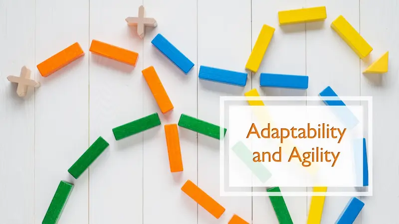 adaptability and learning agility